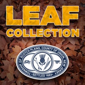 Leaf Pick-Up - Beginning October 26